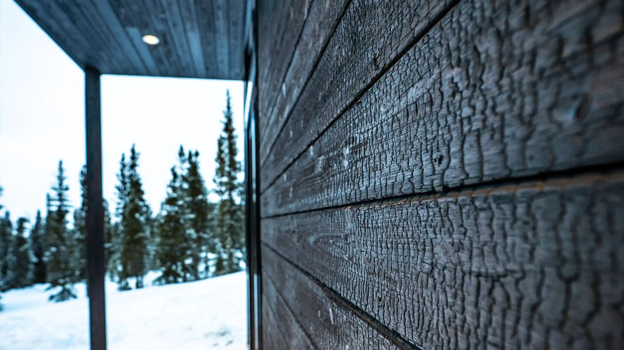 BlackHouse-Siding 55 pheasant tail custom home silverthorne, colorado